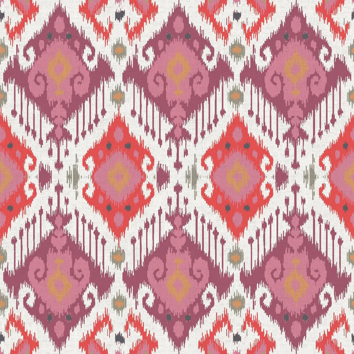 Boho Begonia (BVL001)