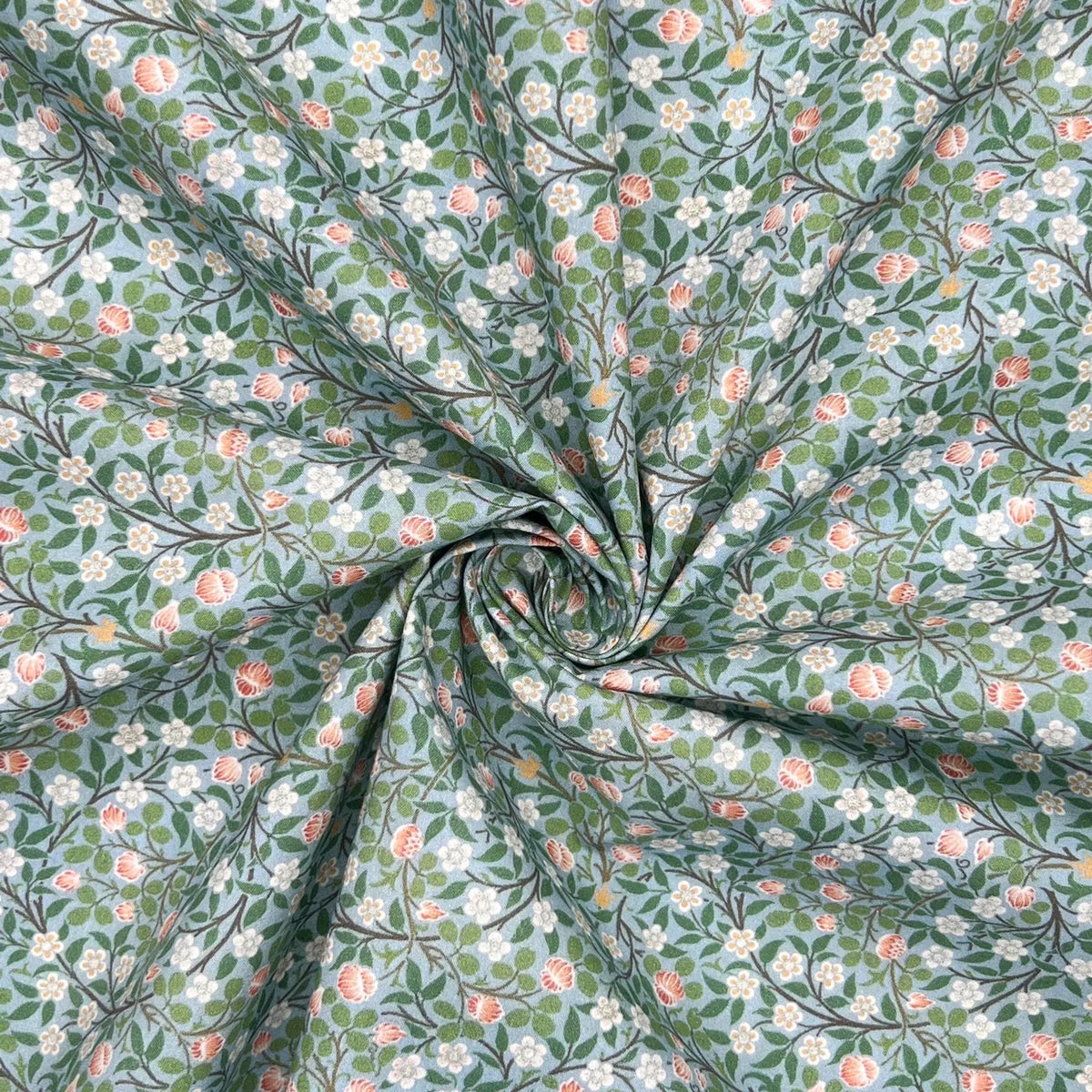 Clover (CPR008)