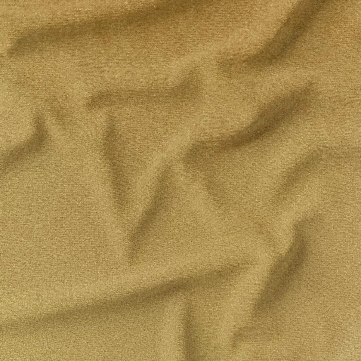 Amber (CVP021)