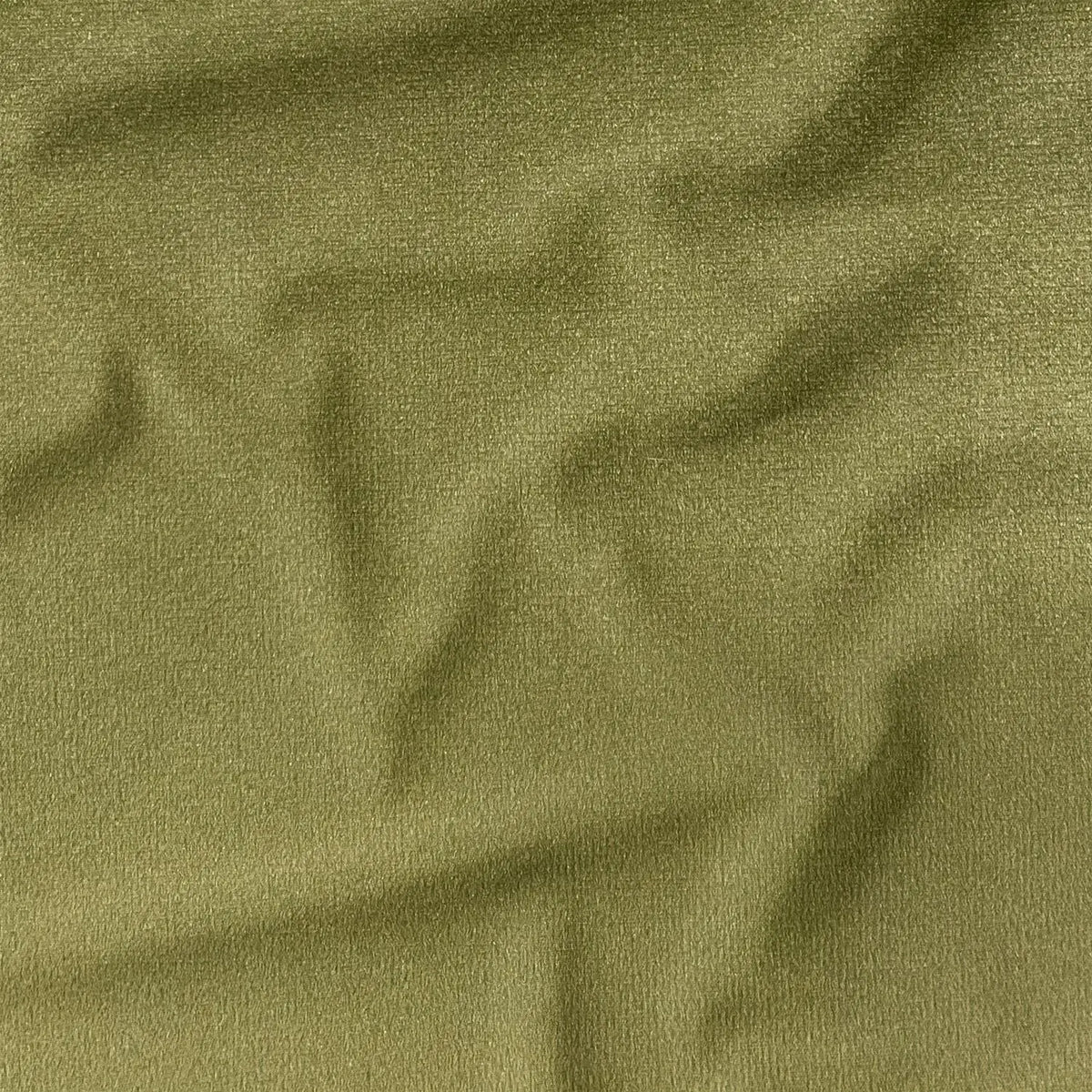 Brown (CVP028)