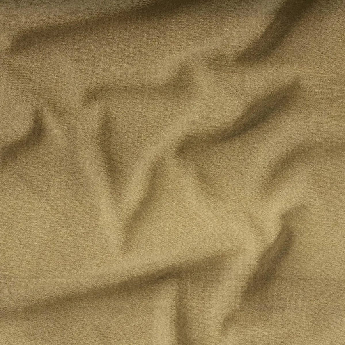 Camel (CVP030)