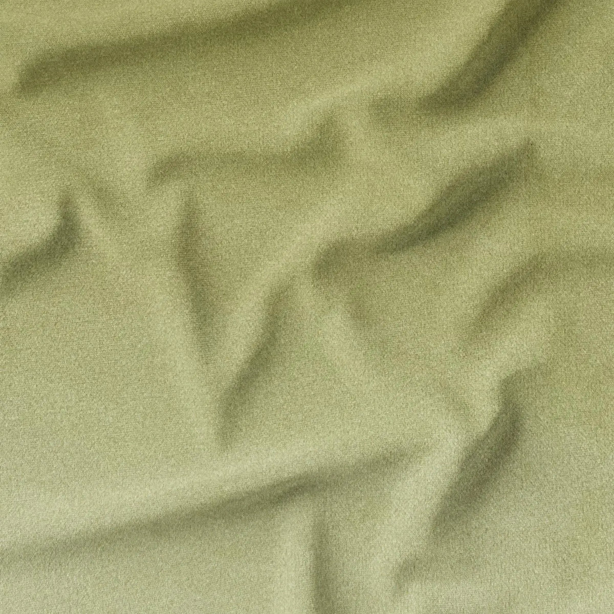 Flax (CVP038)