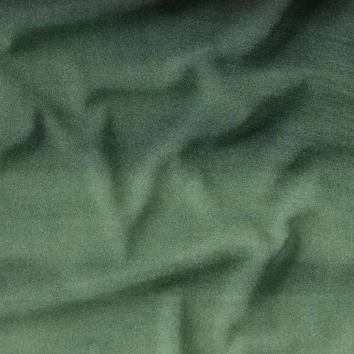 Forest Green (CVP039)