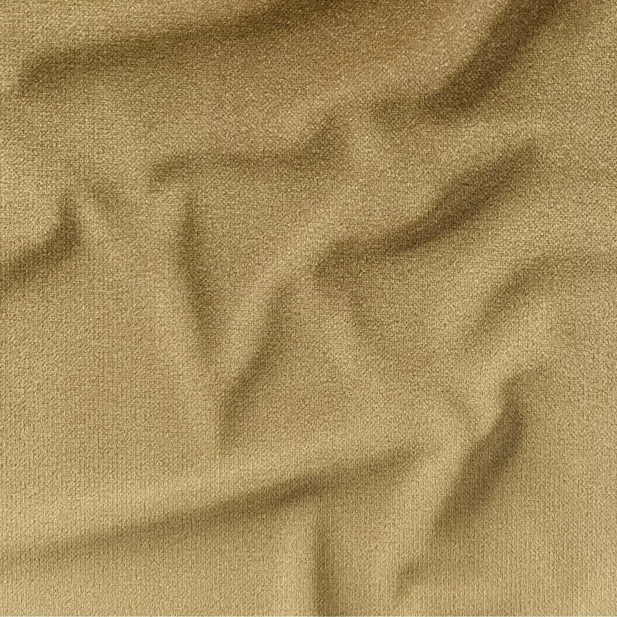 Fudge (CVP040)
