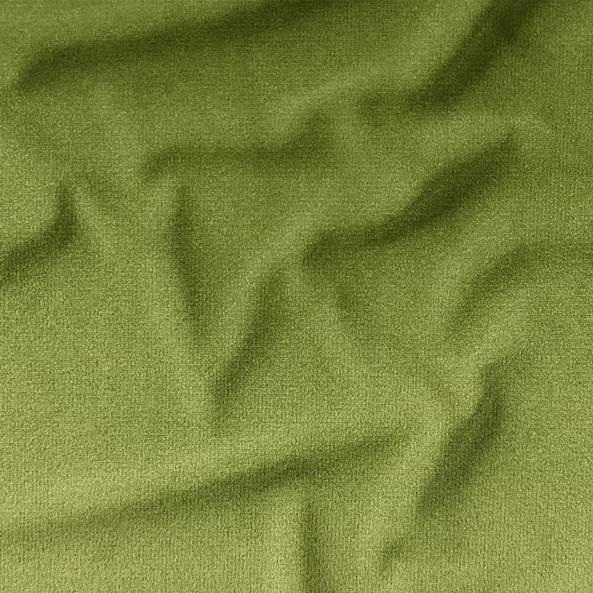 Jungle (CVP043)