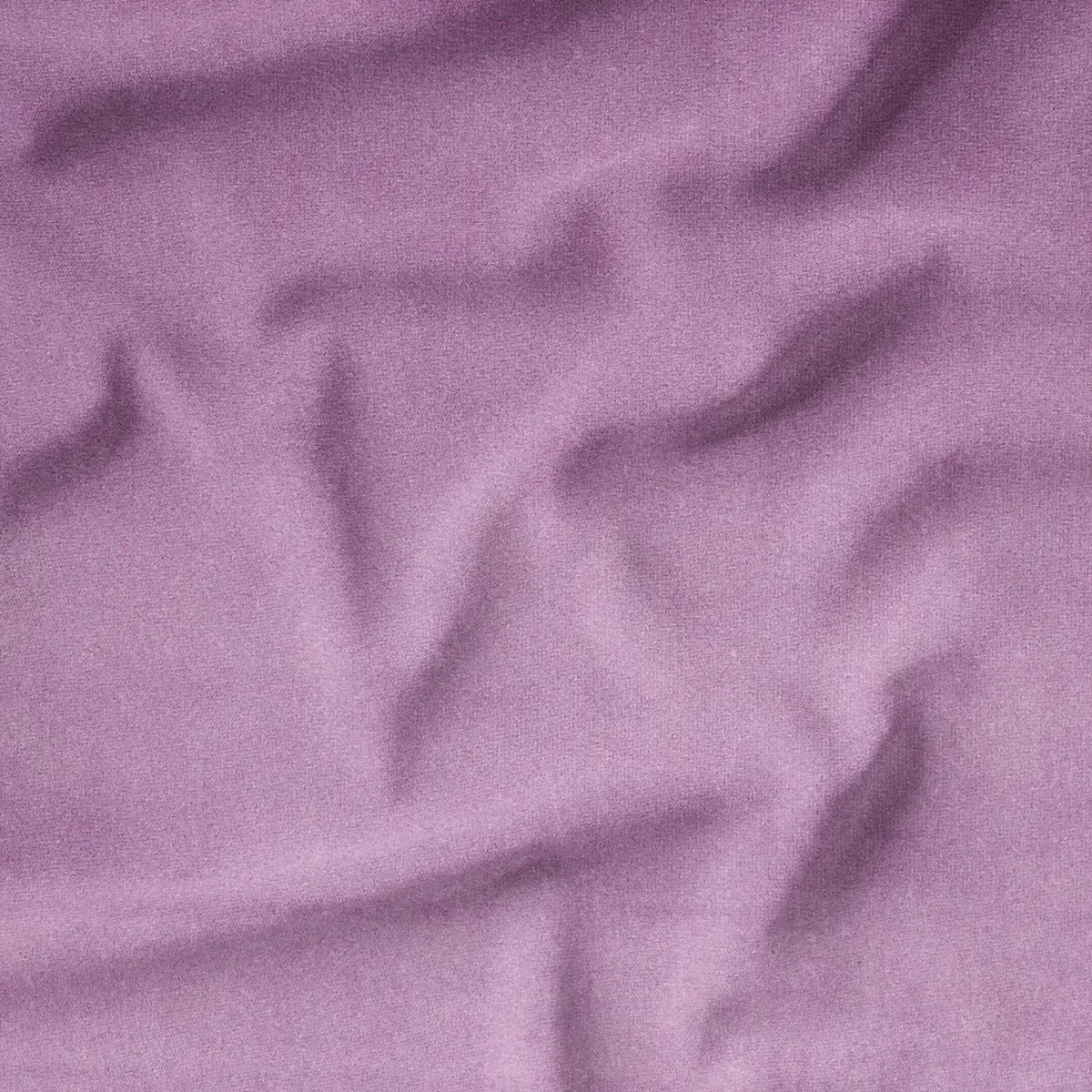 Lavender (CVP044)