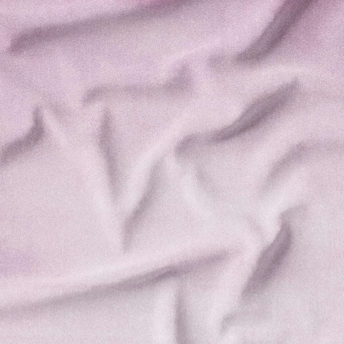 Lilac (CVP045)