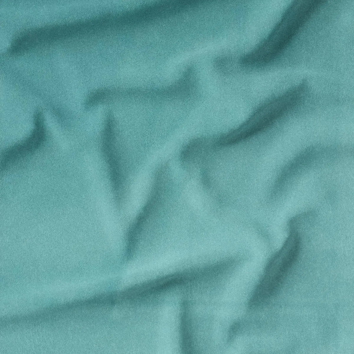 Mint (CVP047)