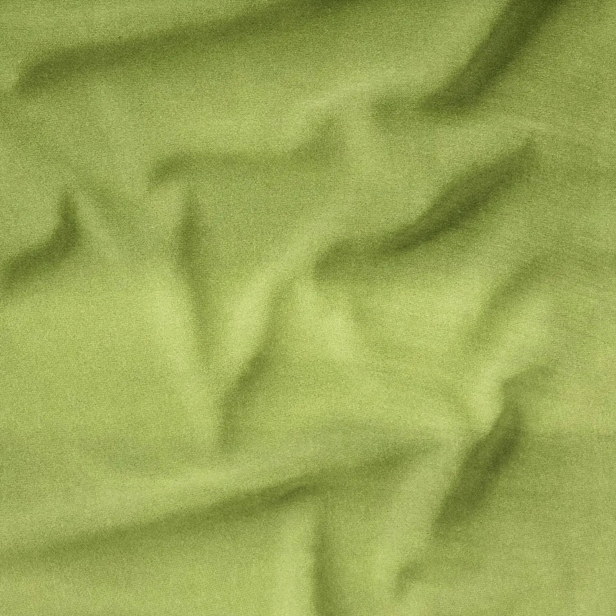 Olive (CVP050)