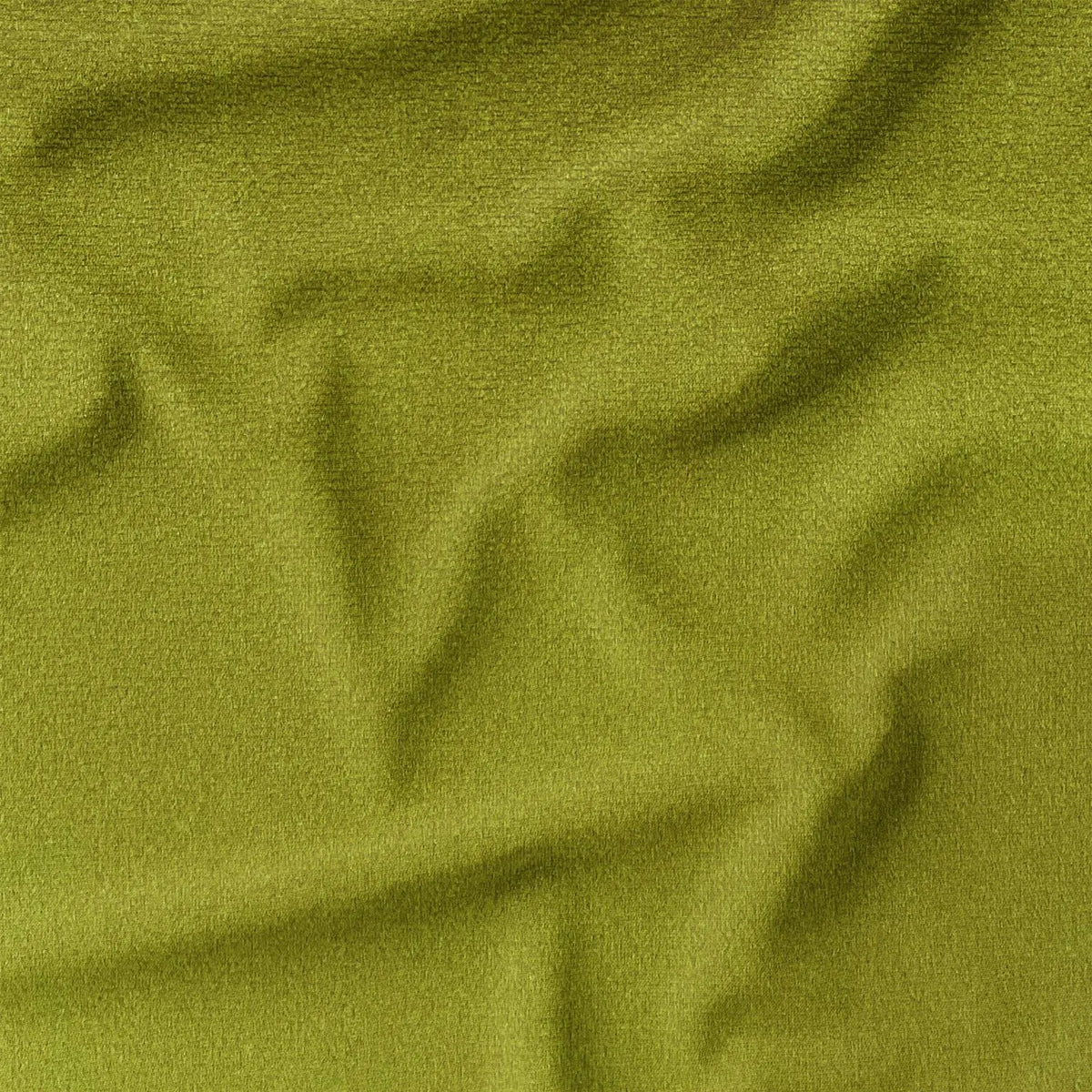 Pear (CVP052)