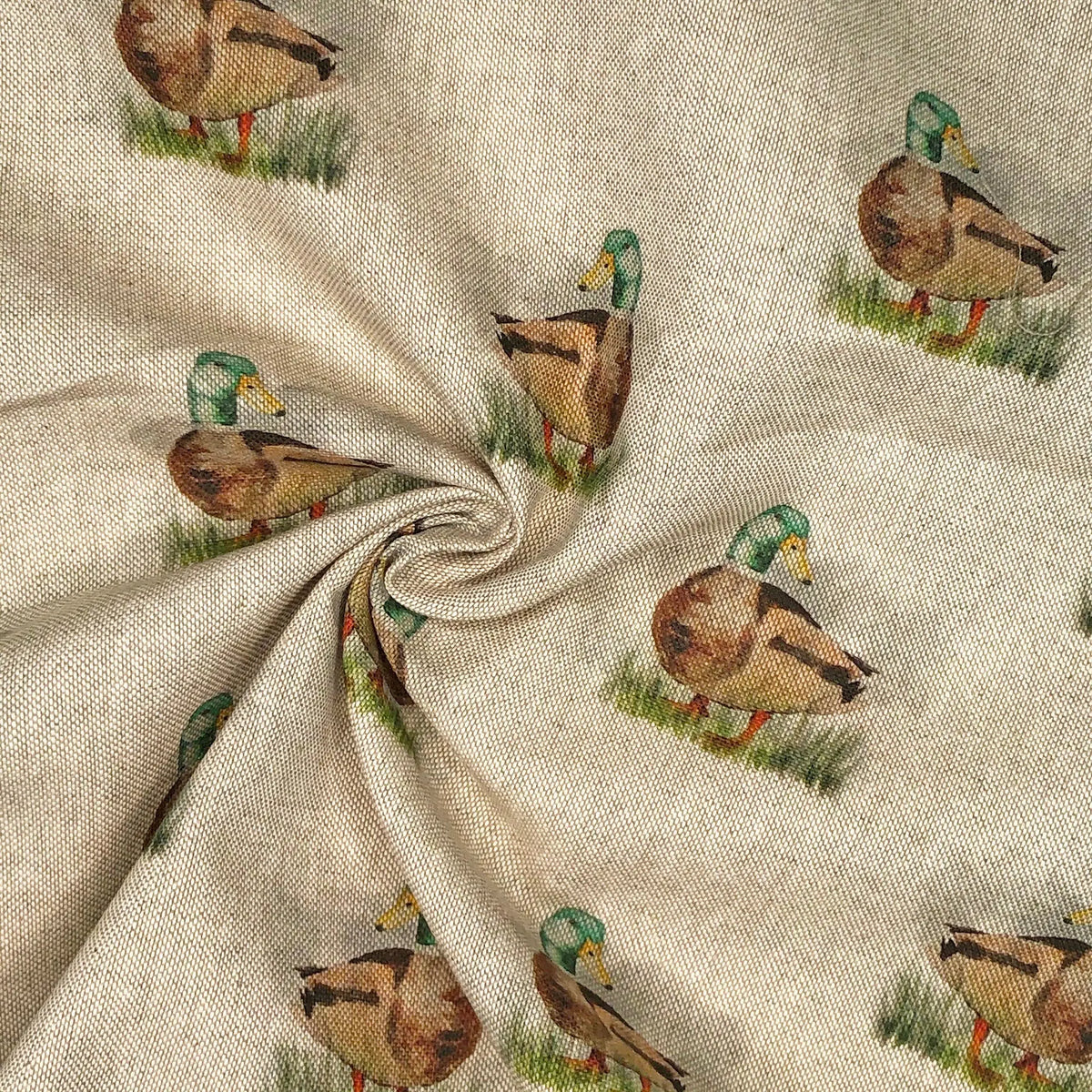 Mallard Duck All Over (DCA003)