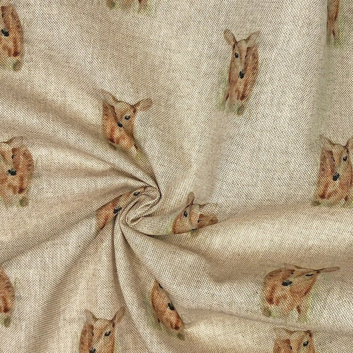 Fawn All Over (DCA005)