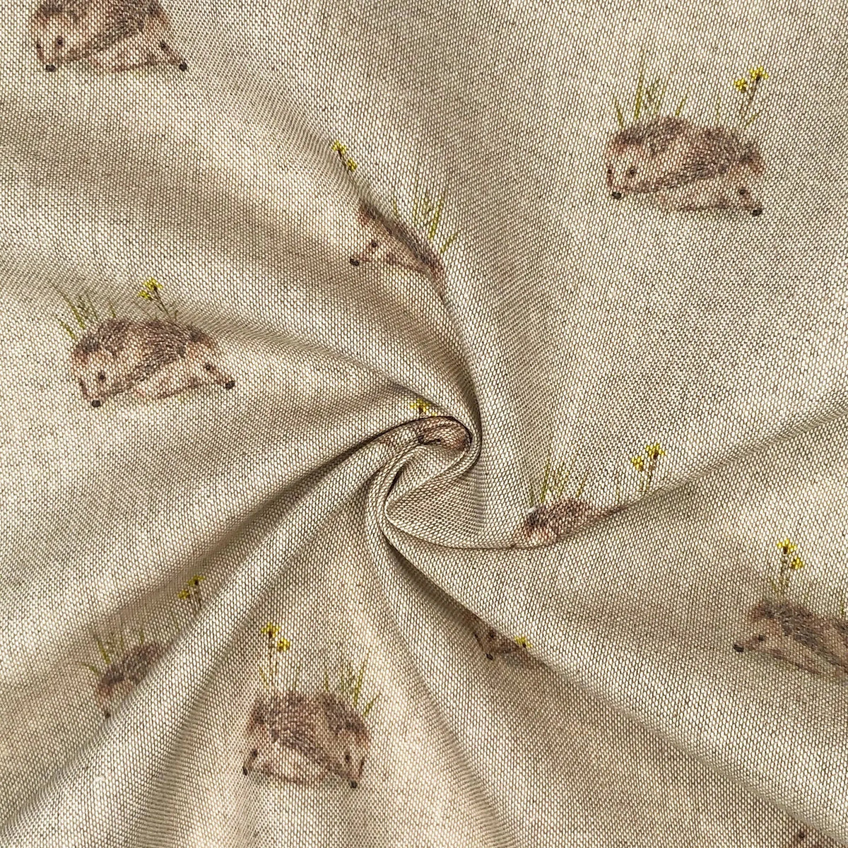 Hedgehog All Over (DCA008)