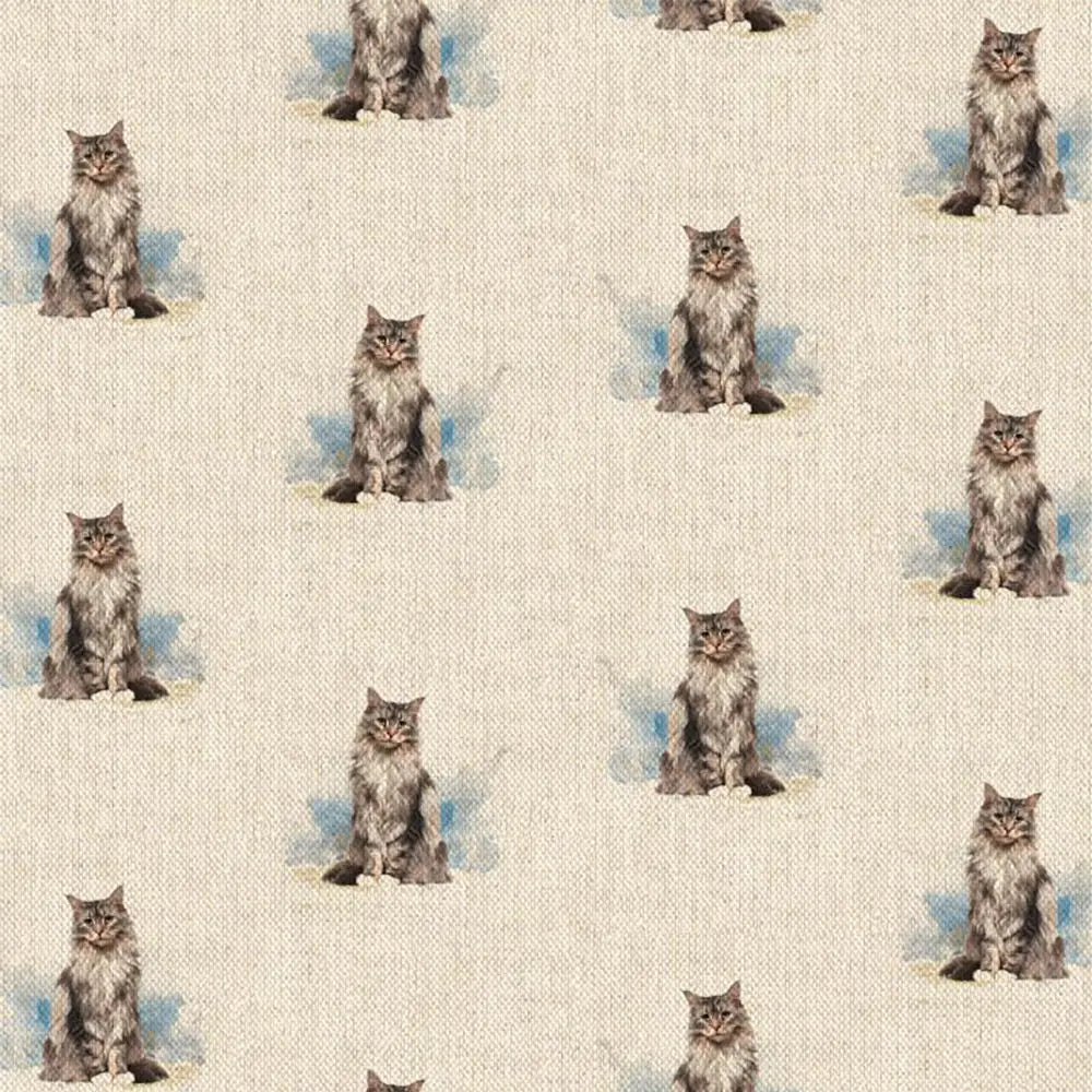 Cat All Over (DCA022)