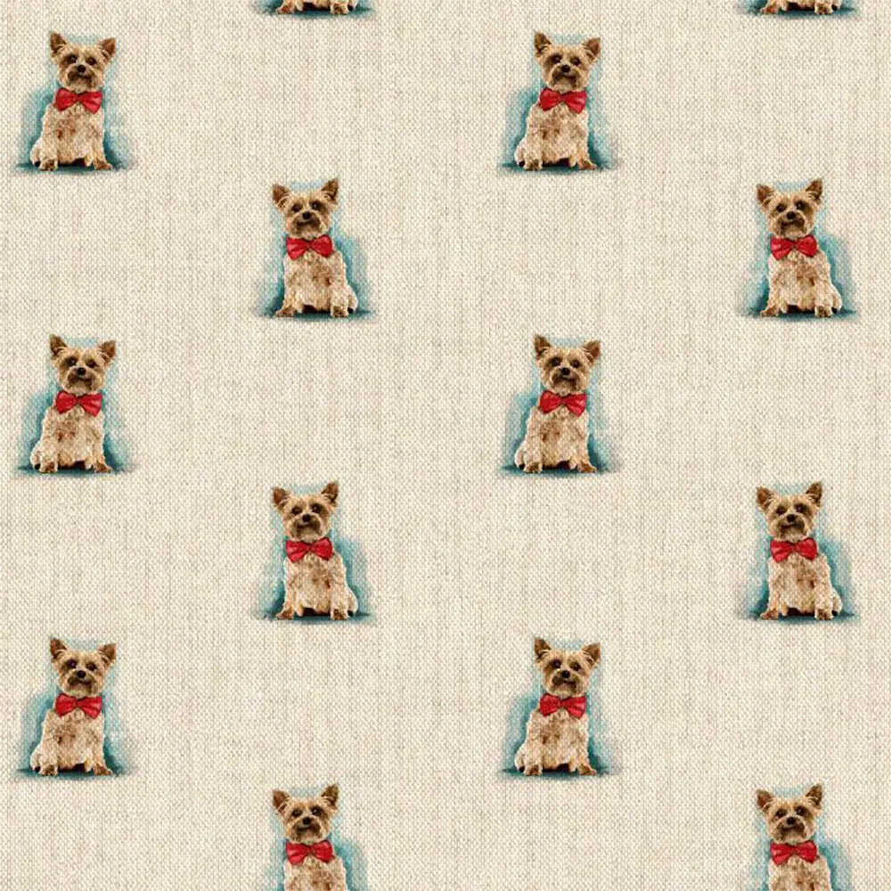 Novelty Yorkshire Terrier All Over (DCA041)