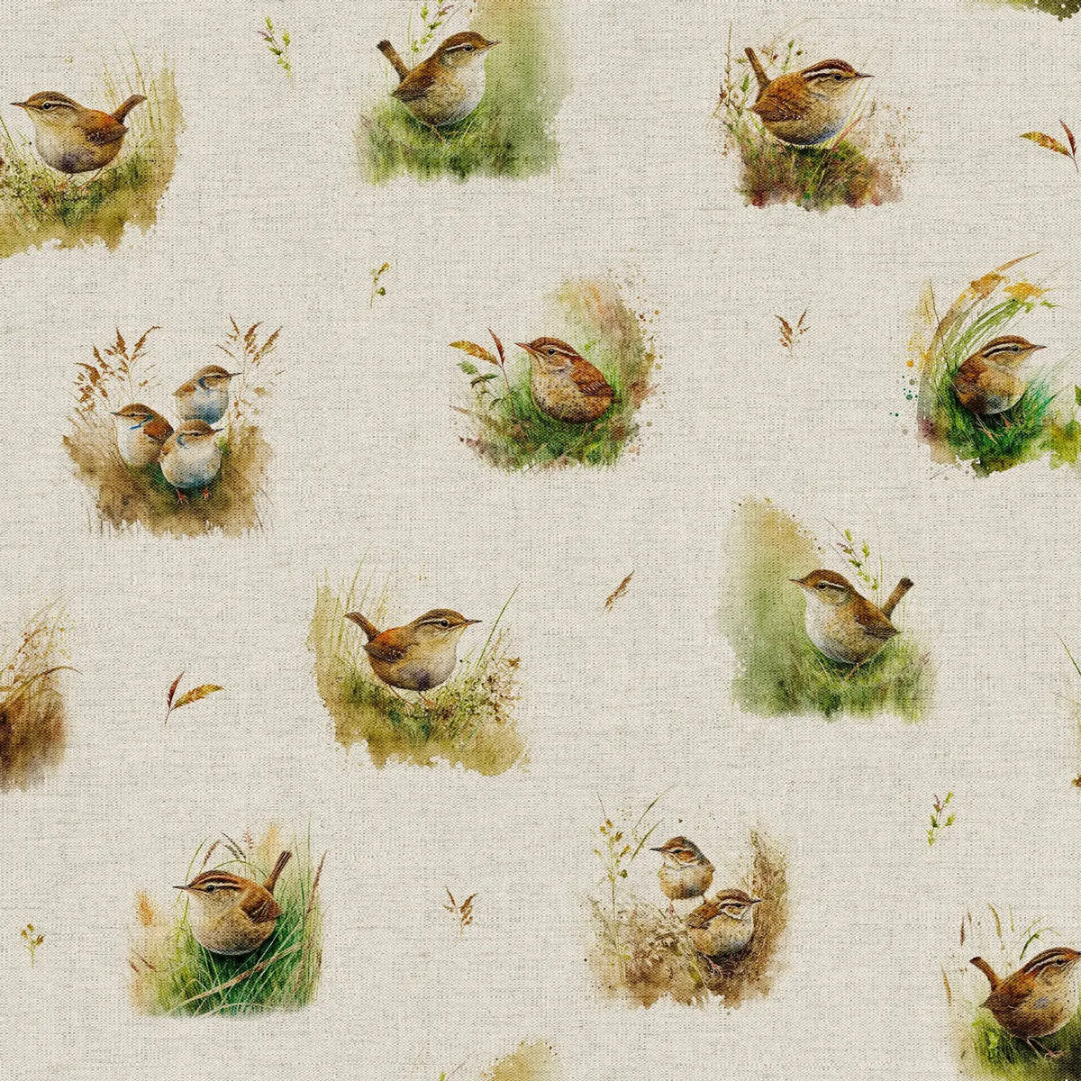 Wren All Over (DCA069)