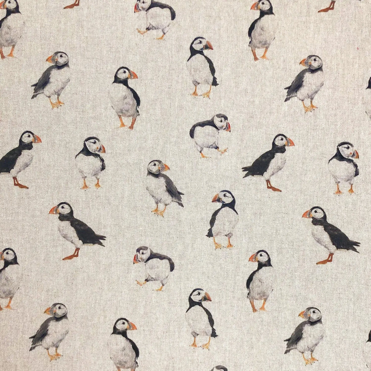 Puffins (DCL010)