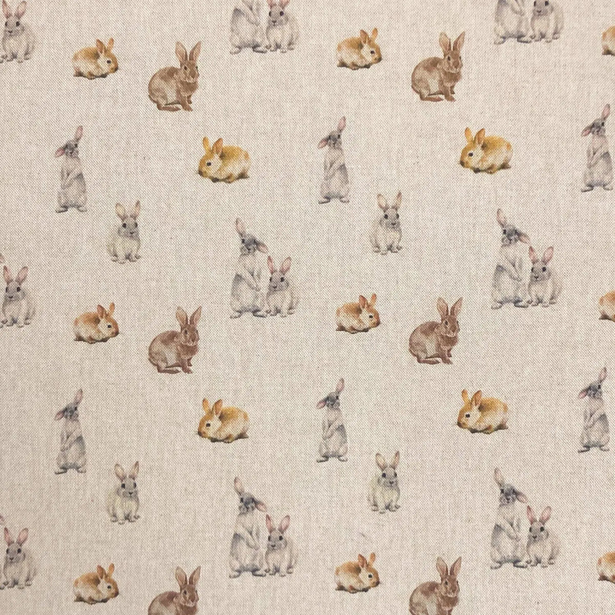 Bunny Rabbits (DCL013)