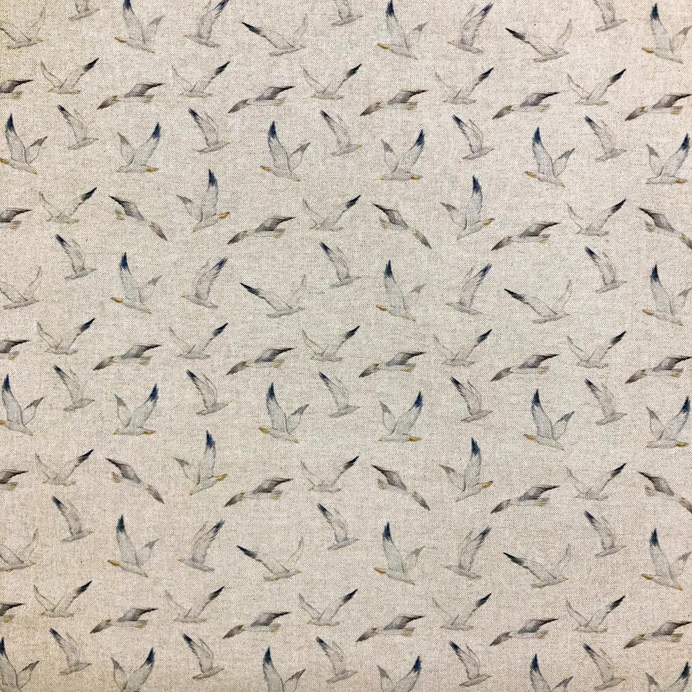 Coastal Seagulls (DCL016)