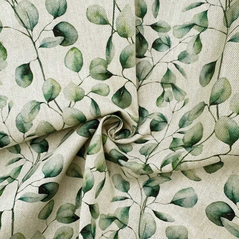 Eucalyptus Leaves (DCL089)