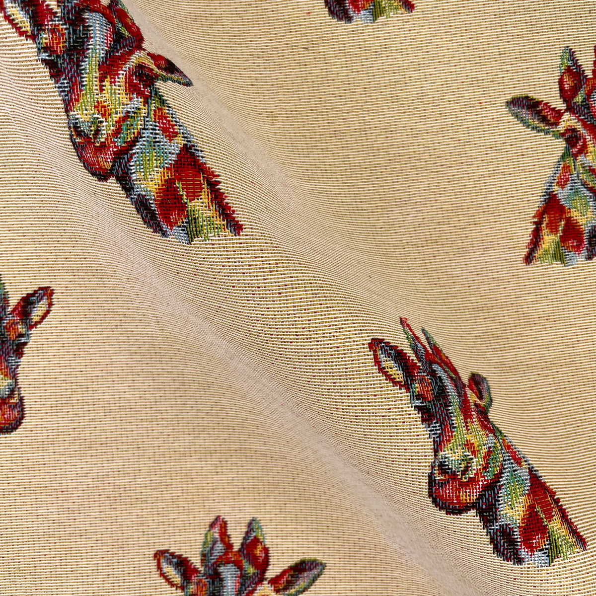 Giraffe All Over