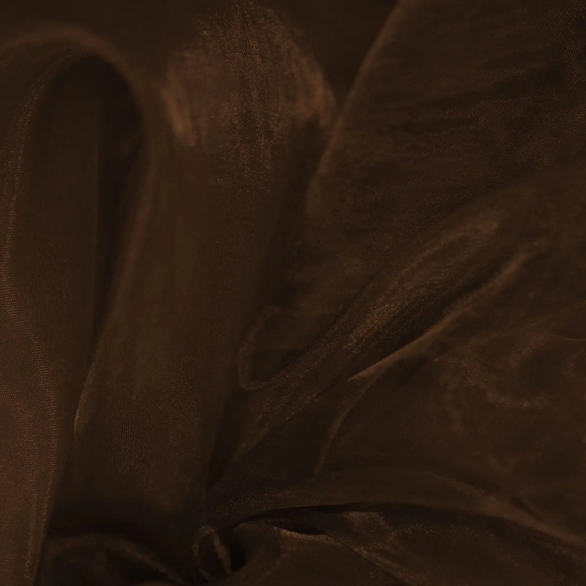 Chocolate (ORGCHO)