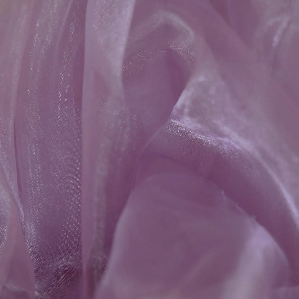 Lavender (ORGLAV)