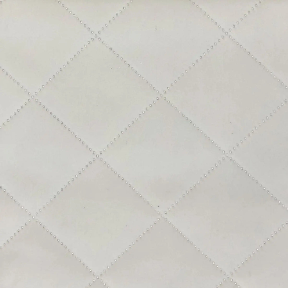 Ivory (QCVP012)
