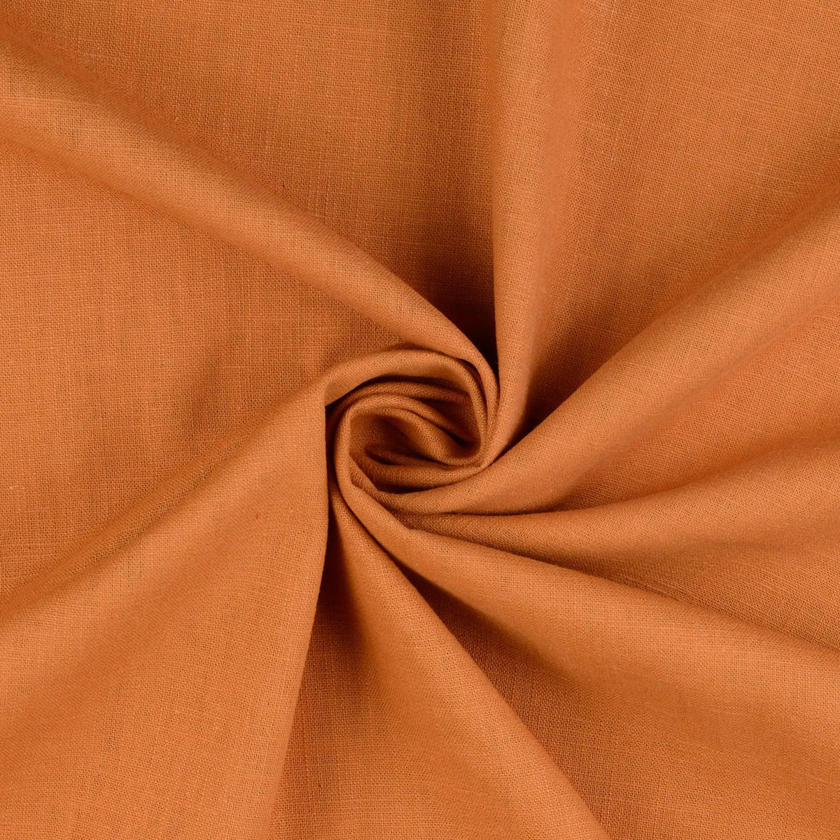 Ginger (WL049)