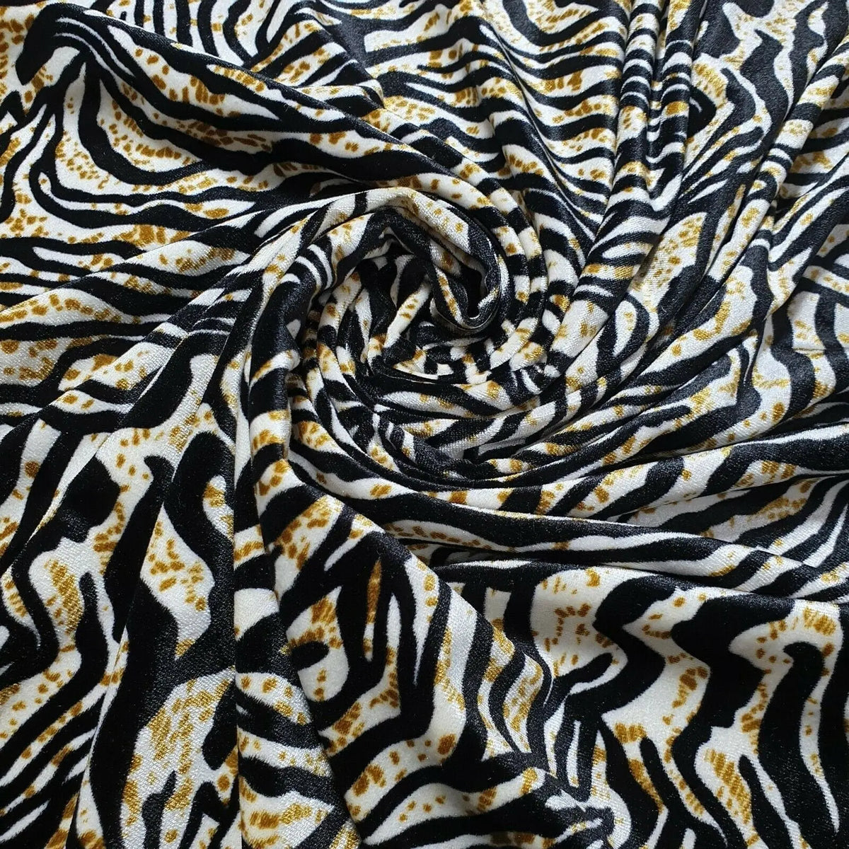 Abstract Zebra