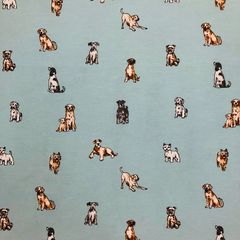 Cotton Rich Popart Panama Canvas Fabric | Digitally Printed Craft & Home Fabric 55