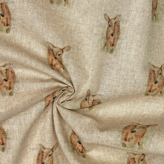 Fawn All Over (DCA005)