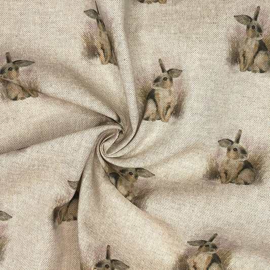 Rabbit All Over (DCA010)