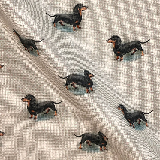 Dachshund All Over (DCA012)