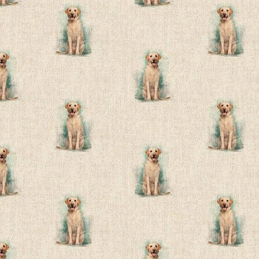 Labrador All Over (DCA016)
