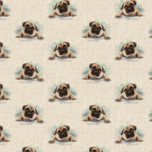 Pugs All Over (DCA019)