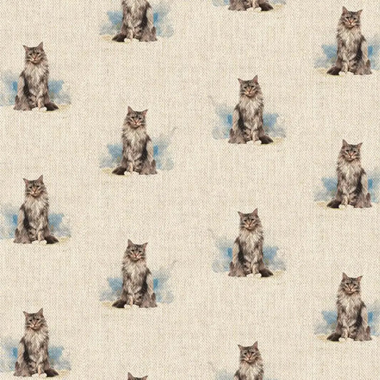 Cat All Over (DCA022)