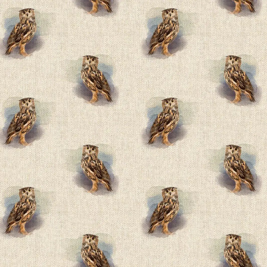 Owl All Over (DCA031)