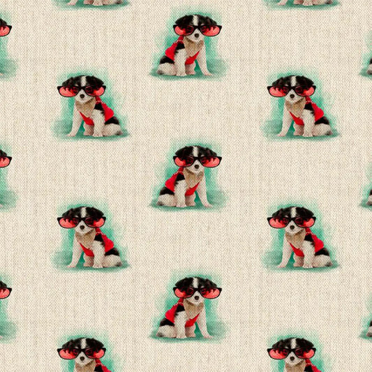 Novelty Chihuahua 1 All Over (DCA034)