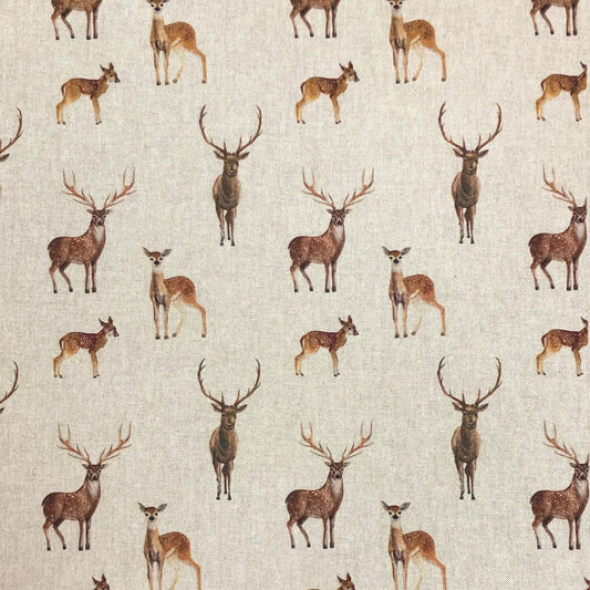 Stags and Deers (DCL007)