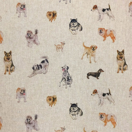 Show Dogs (DCL008)