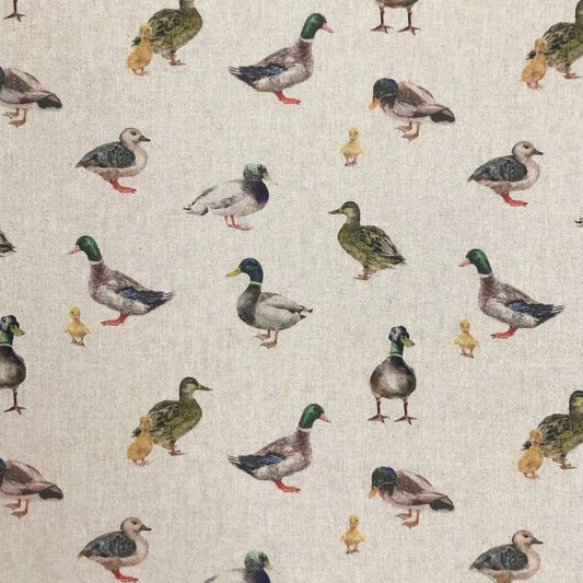 Mallards (DCL014)