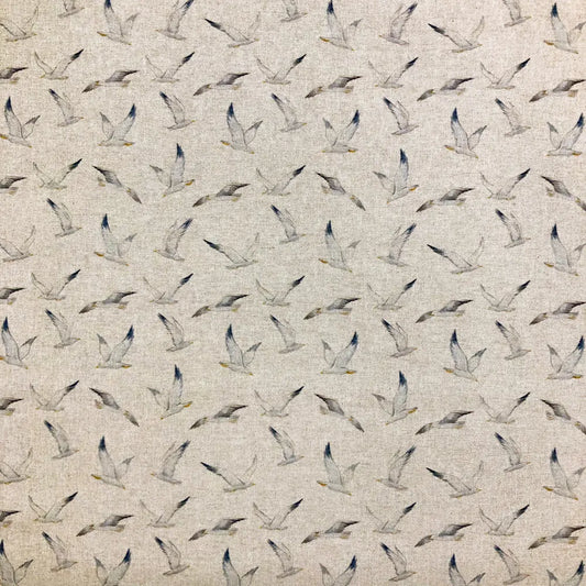 Coastal Seagulls (DCL016)