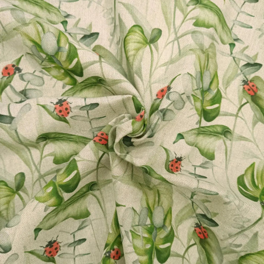 Ladybird Monstera (DCL047)