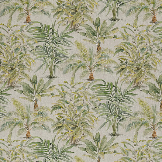 Exotic Palm (SLL015)