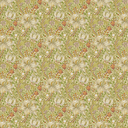 Golden Lily Cornsilk (WMP029)